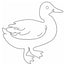 Mallard Co. Candles - Home